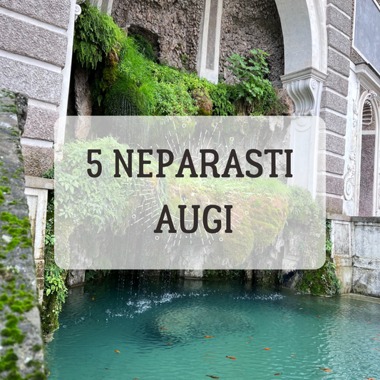 5 NEPARASTI TELPAUGI