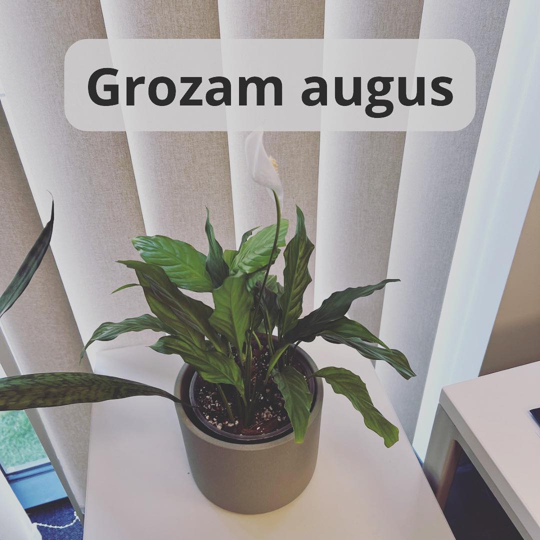 Grozam telpaugus